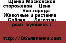 Щенки Московской сторожевой  › Цена ­ 25 000 - Все города Животные и растения » Собаки   . Дагестан респ.,Буйнакск г.